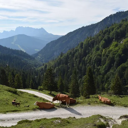 Kerschbaumer Hotell 3*