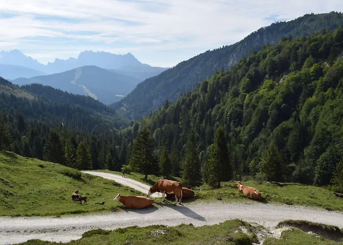 Kerschbaumer Hotel 3*